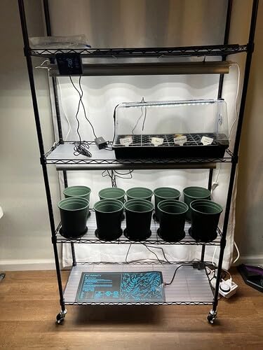 Barrina CX3 Plant Stand with Grow Light, 4-Tier, 108W, 35.4x13.8x70.9IN customer photo 2