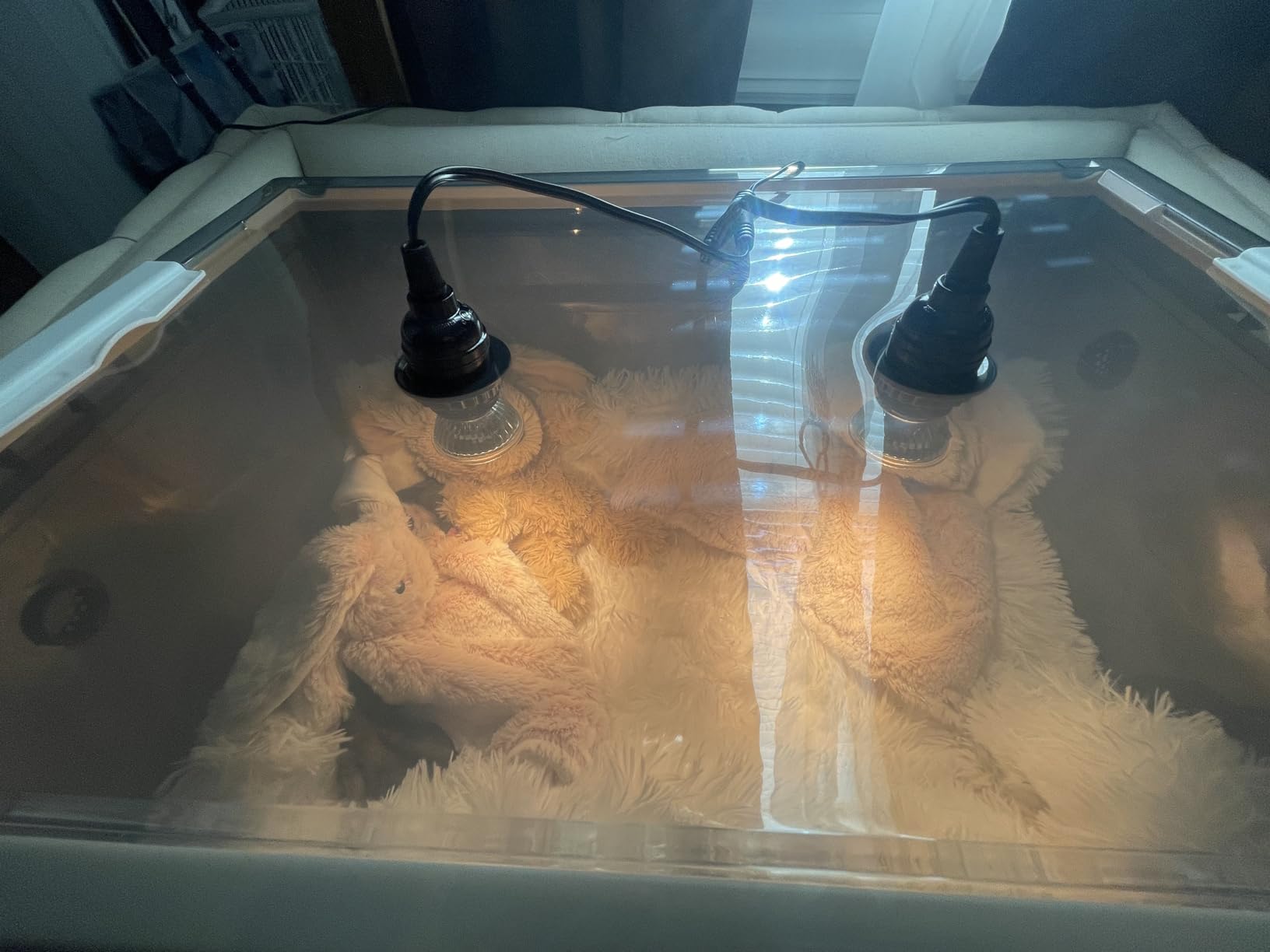 Puppy Incubator with Heating and Oxygenator, Incubator for Puppies 85L customer photo 1