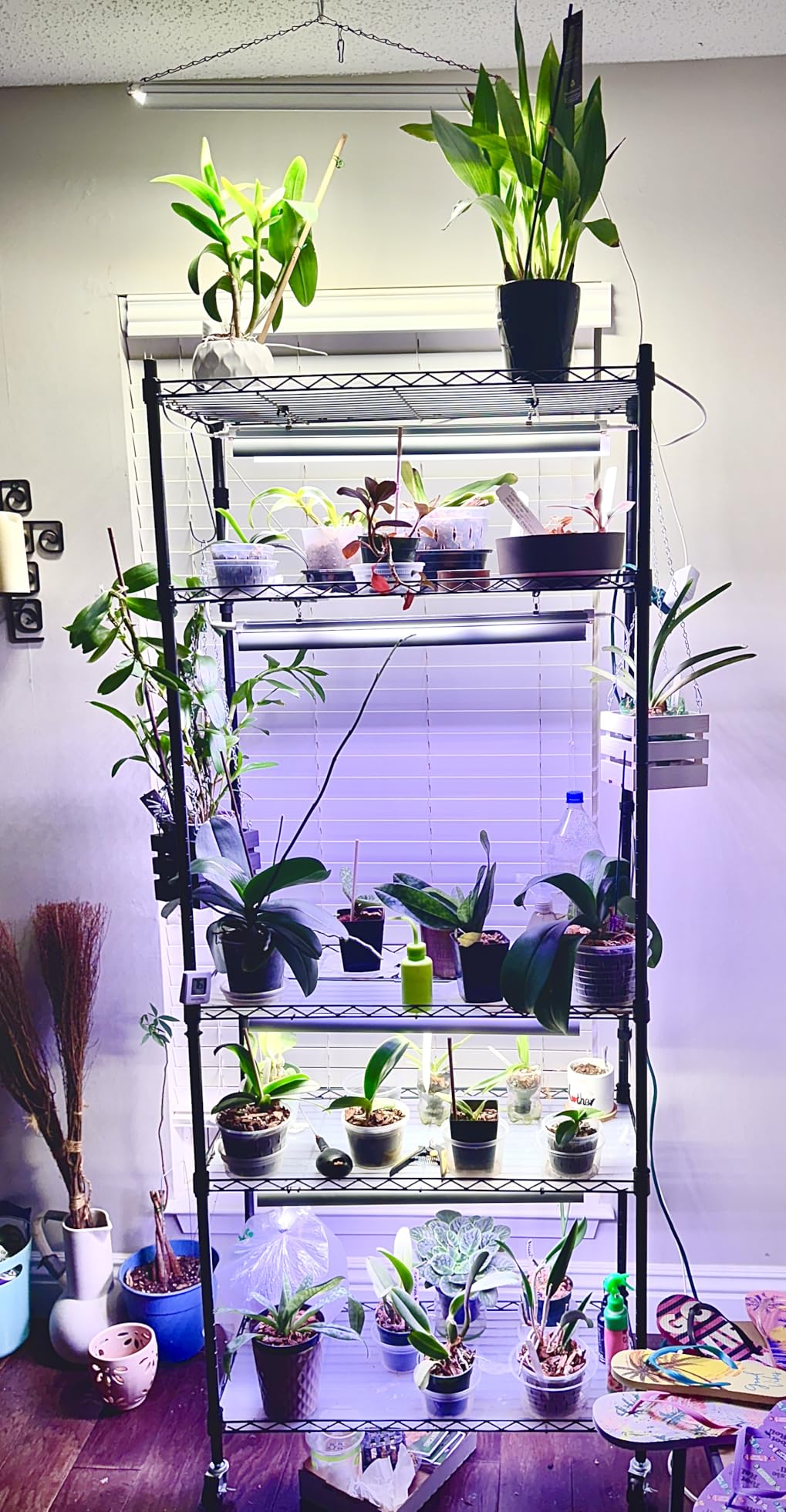 Barrina CX2 Plant Stand with Grow Lights, 6-Tier, 150W, 29.5x13.8x71IN customer photo 2