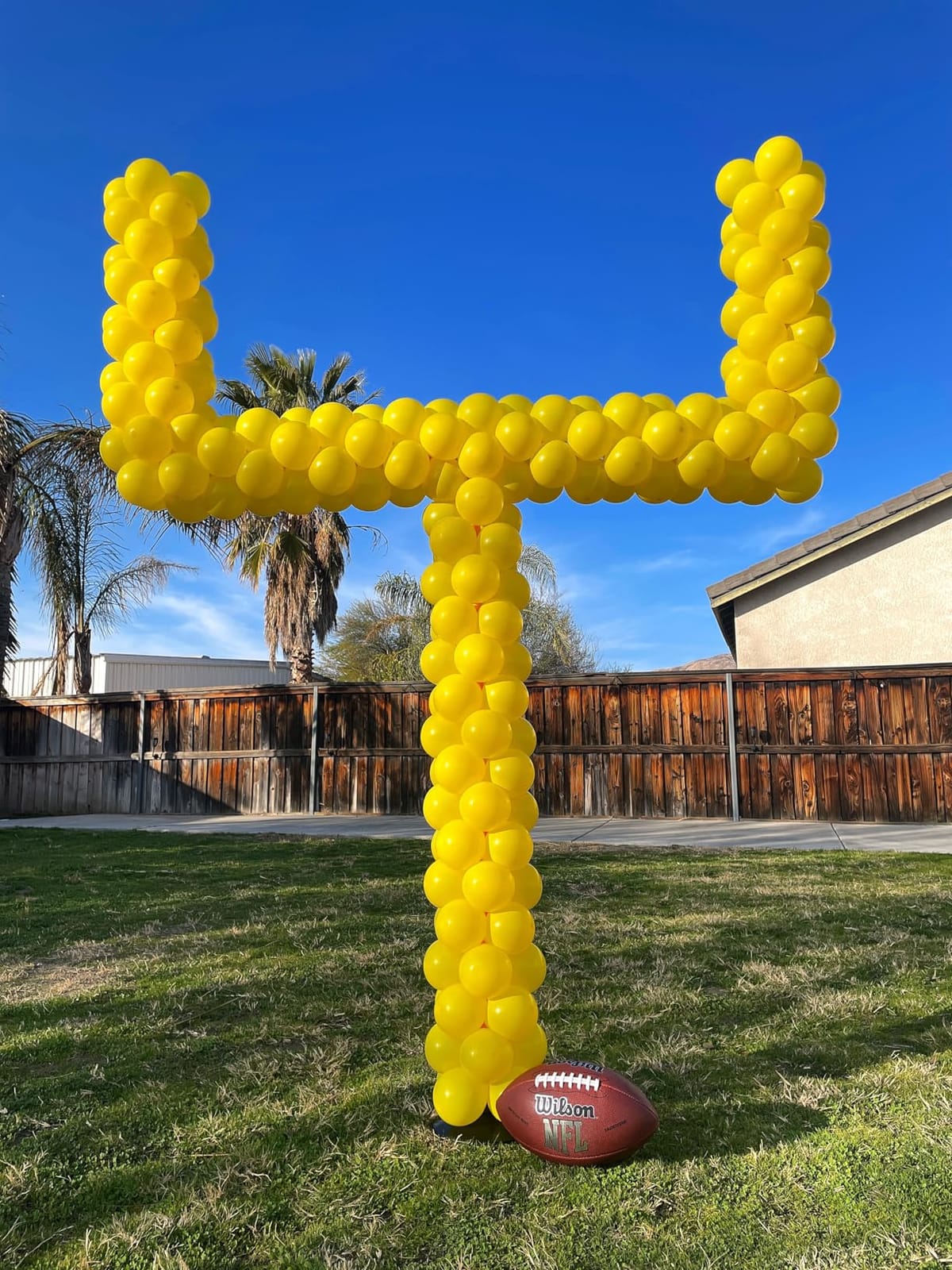 Portable Football Field Goal Post Set with Football | Backyard Kicking Field Goals for Kids Youth and Adults - 6 ft x 4 ft(2 ft-6 ft In Height) customer photo 1