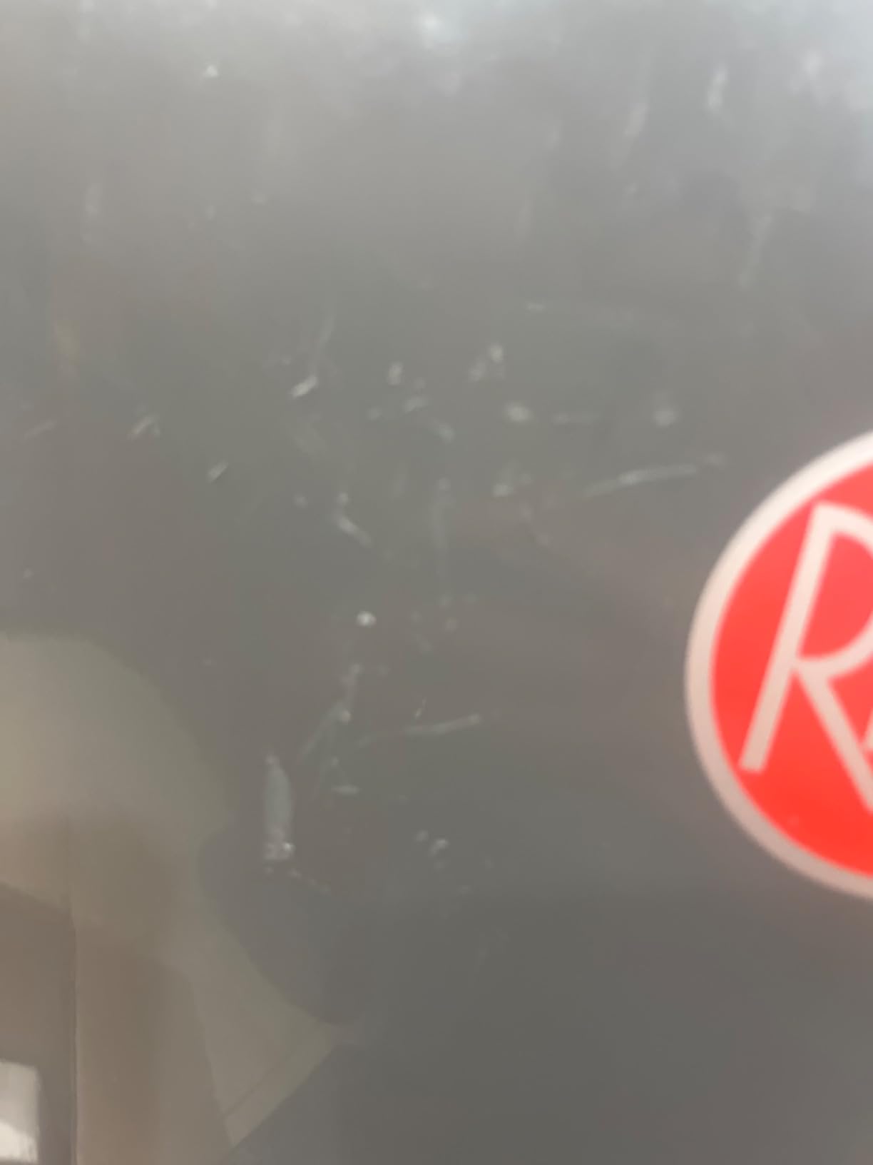 Rheem Mini-Tank Electric Water Heater, 2.5 Gallon customer photo 1
