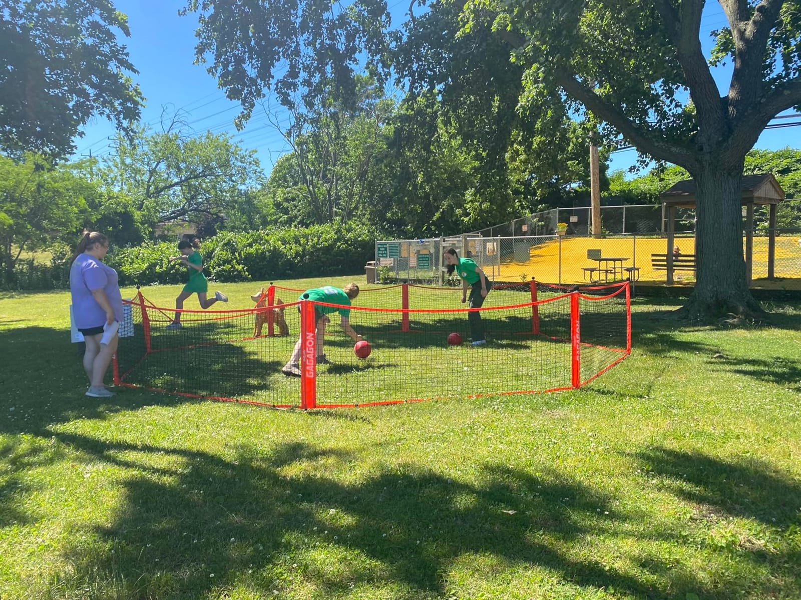 GoSports Gaga Ball Pit - 10 ft, 15 ft or 20 ft Portable Indoor/Outdoor Gagagon Pit for School, Camp or Home Use customer photo 1