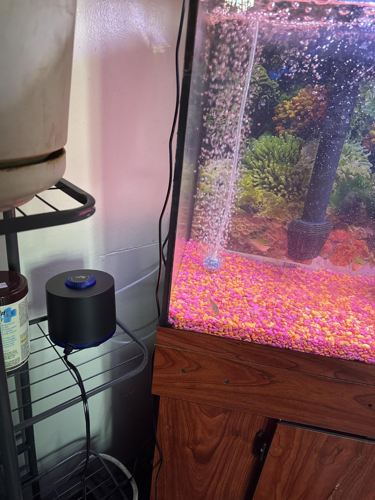 AQQA Aquarium Air Pump, 3W Powerful Dual Outlet Adjustable Oxygen Aerator customer photo 1