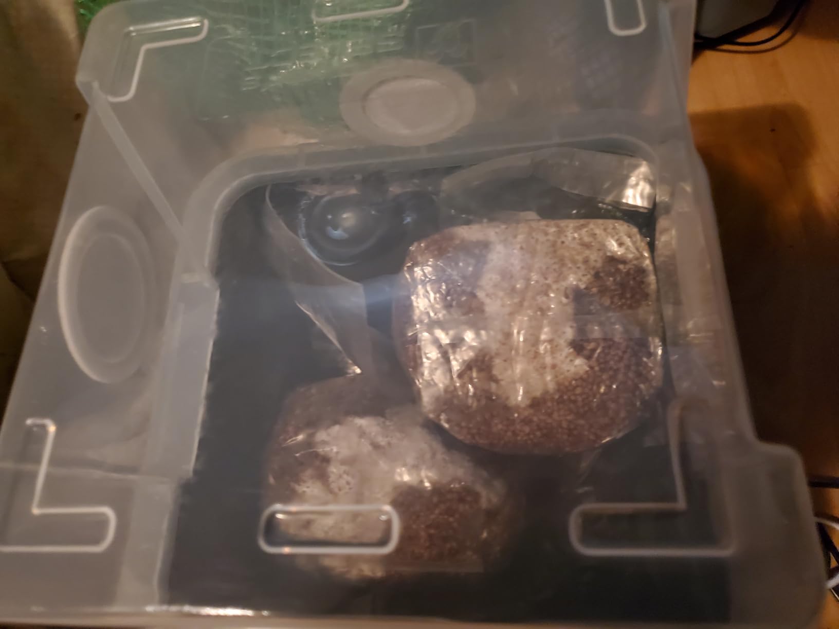 Myco Labs Grower's Select Mushroom 48Q Monotub Fruiting Chamber with Filter Disks and Liner customer photo 1