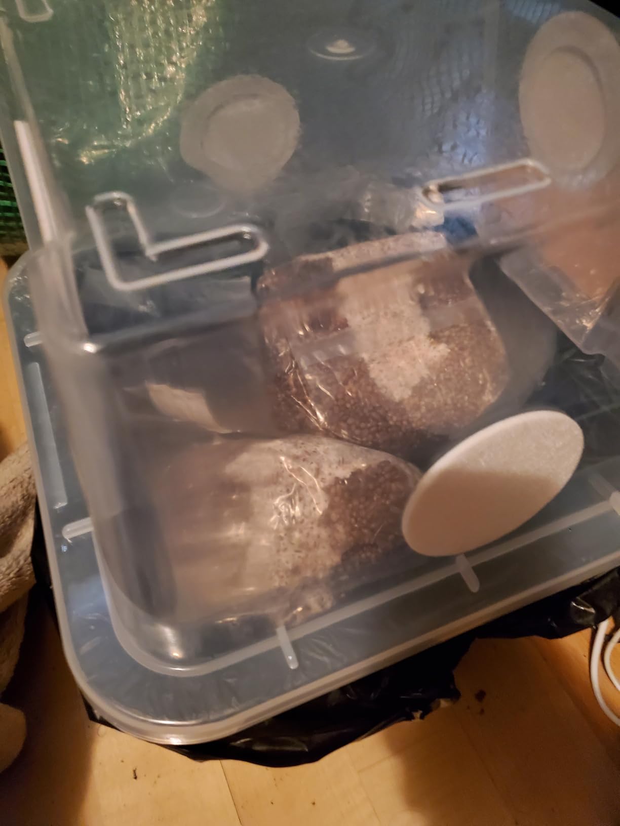 Myco Labs Grower's Select Mushroom 48Q Monotub Fruiting Chamber with Filter Disks and Liner customer photo 2