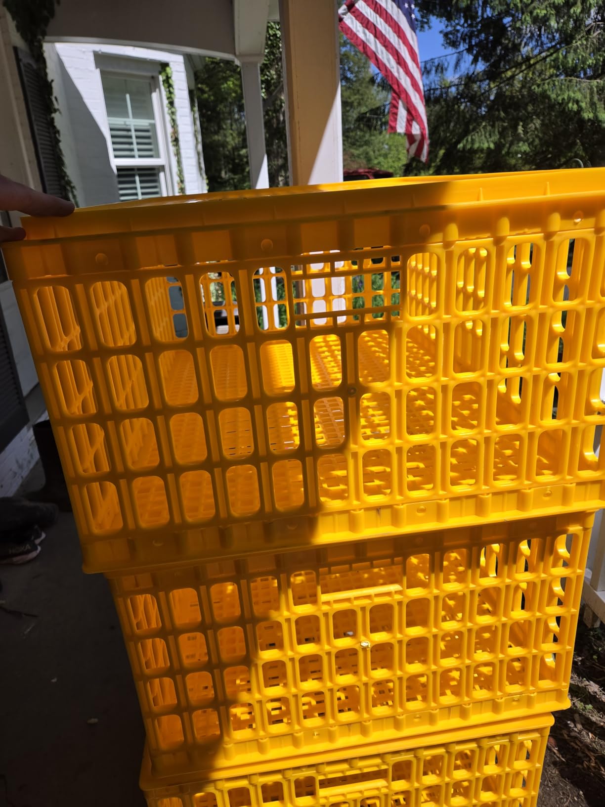 Sintuff Poultry Carrier Crate Plastic Chicken Transport Cage Bird Carriers Chickens Carrier Travel Crate Basket Box for Poultry Chicken Bird Duck Goose, 29.5 x 21.7 x 11.6 Inch(4 Pcs) customer photo 1