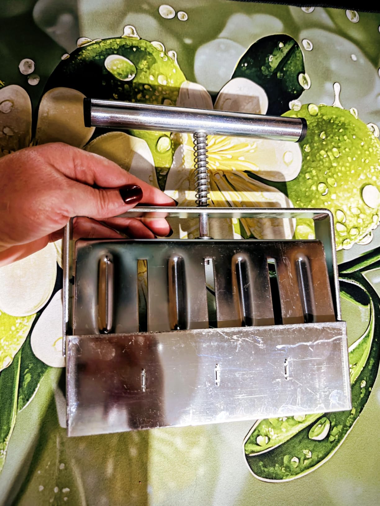 Soil Blocker, 4 Cell Soil Block Maker 2 Inch with 3 Sizes Seed Pins, Seed Handheld Block Maker with Comfortable Handle, Garden Blocking Tools for Seedings, Cuttings, Greenhouses customer photo 1