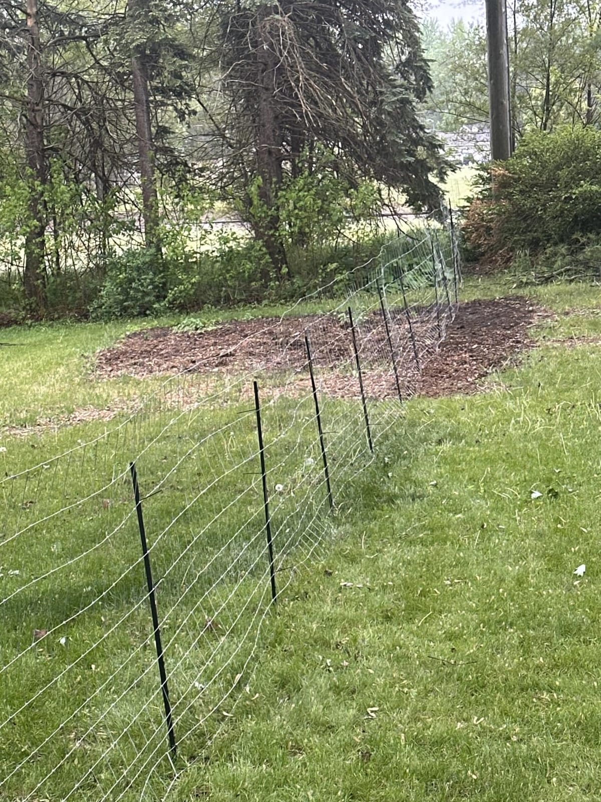 Cattle Fence 5ft x 164ft, Galvanized Farm Fence & Metal Wire Fencing | Heavy Zinc Woven Livestock Wire Fence for Cattle, Sheep, Goats & Hogs customer photo 2