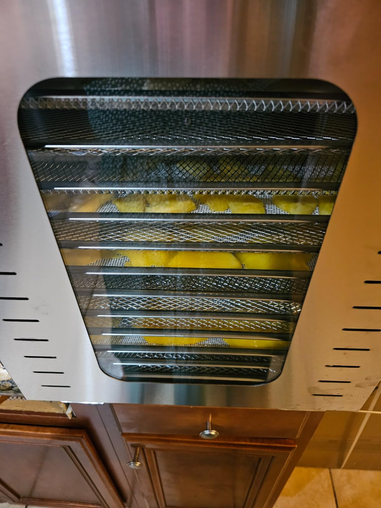 Commercial Large 12 Trays Food Dehydrator, Usable Area up to 22.67ft², 1200W Full Stainless Steel Dryer Machine, up to 190℉ Temperature, for Meat, Fruit, Veggies, Beef, Herbs, Pet Foods customer photo 2