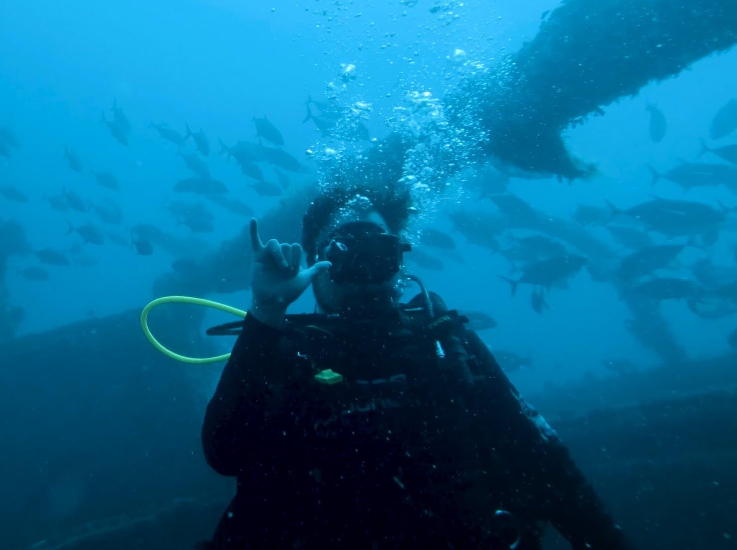 Garmin Descent™ T2 Transceiver, Subwave™ Wireless Communication customer photo 1