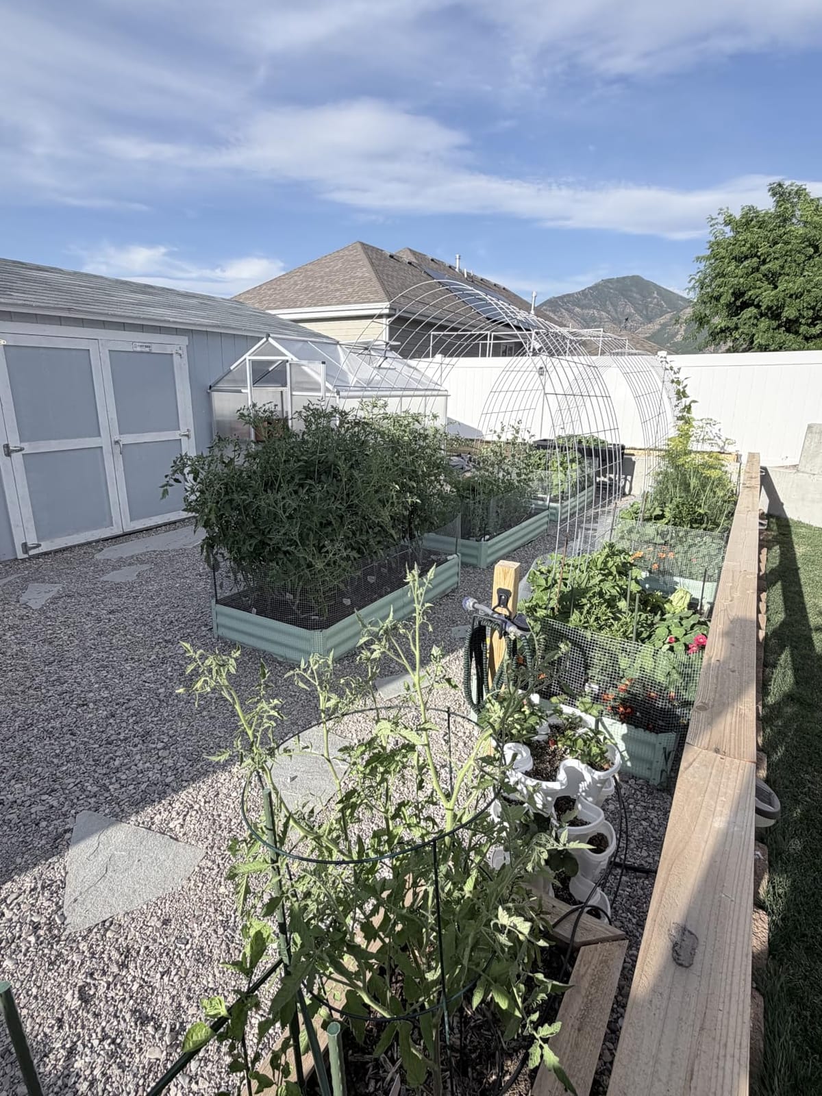 MIXC 65FT Drip Irrigation System, Quick Connect Misting System, 15 Nozzles customer photo 2