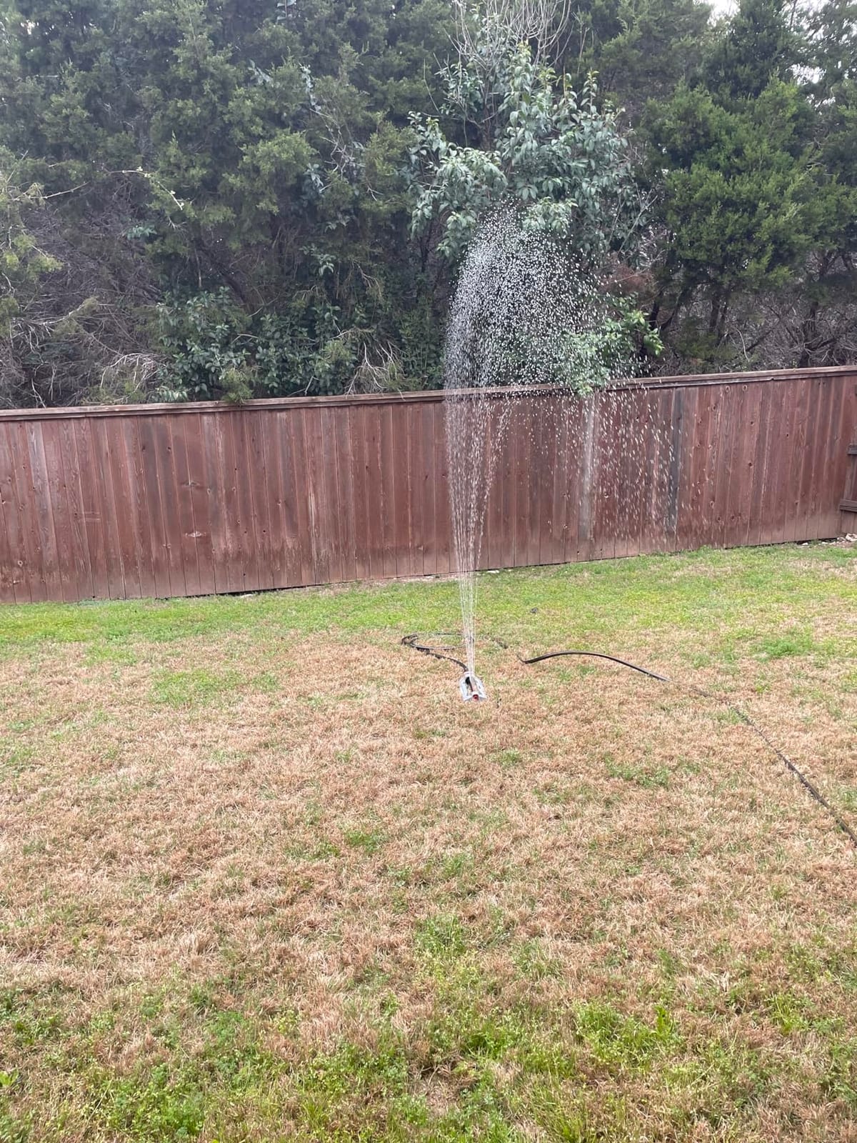 Eden 94110 Heavy-Duty Metal Oscillating Sprinkler | Covers Up to 3,315 sq. ft., 18 Precision Nozzles, Adjustable Range, Turbo Drive Motor, Quick Connect Bundle customer photo 1