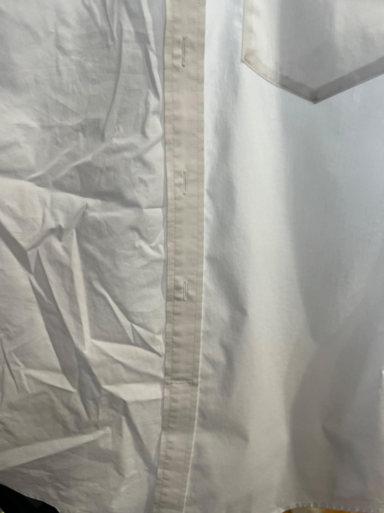 True & Tidy Heavy-Duty Commercial Garment Steamer, w/ 3 Steam Settings customer photo 1