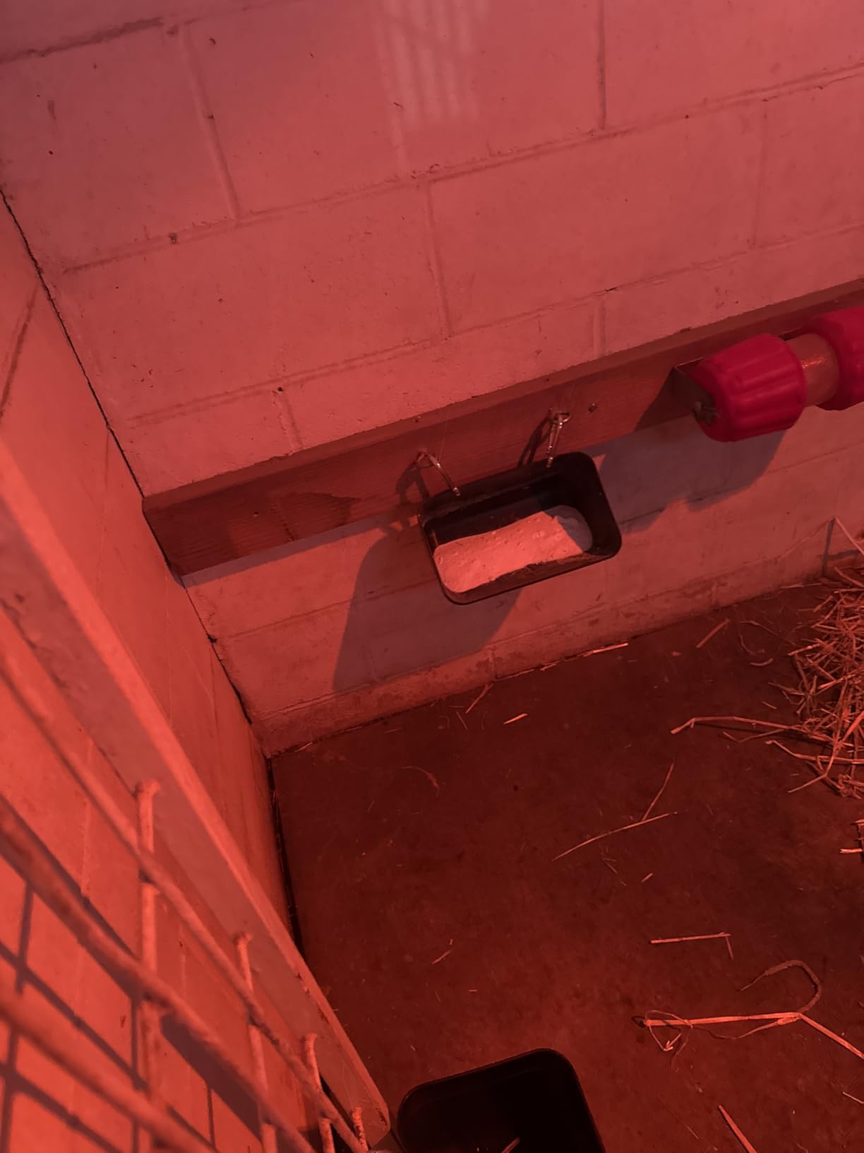 Goat Feeders Hanging Poultry Feeder Trough for Livestock, 6*3.5 Quart Black | Goat Feeder, Hanging Chicken Waterer Feeder customer photo 2