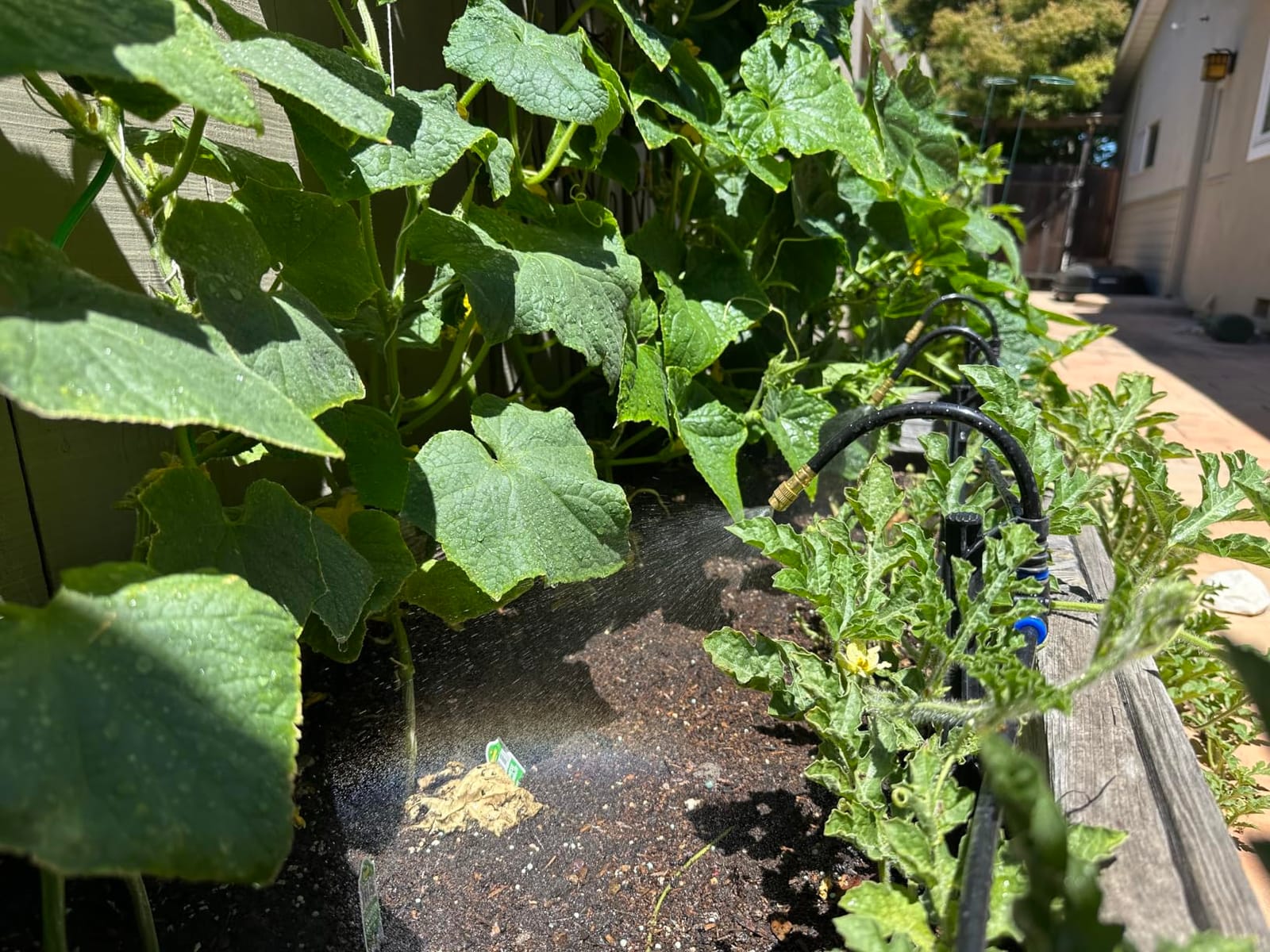 49.21Ft Drip Irrigation Kit System, 360° Bendable Garden Irrigation System customer photo 2