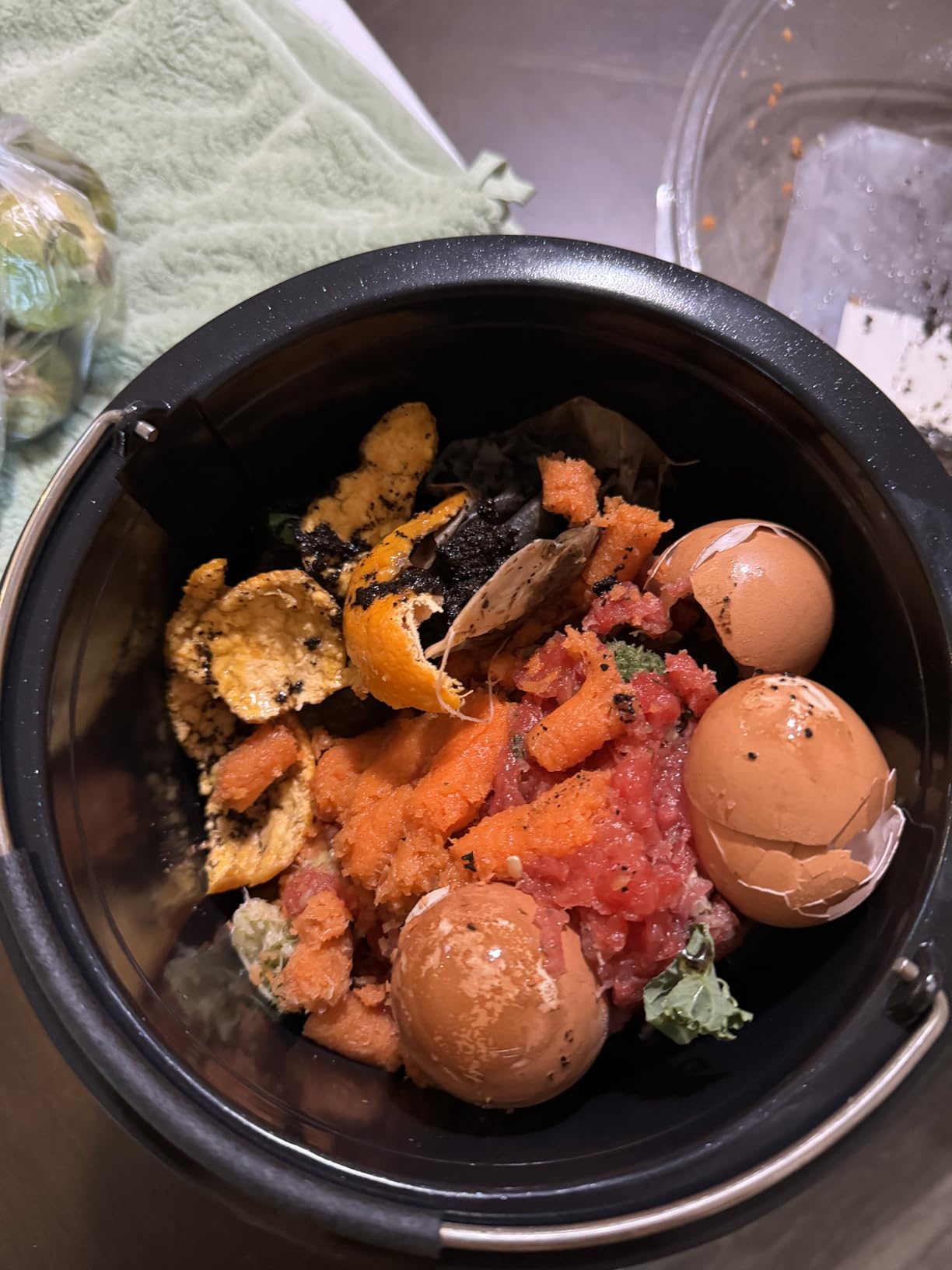Home Zone Living Electric Composter for Kitchen, Helps Turn Food Waste Into Pre-Compost, Features Auto-Cleaning Cycle, Large Capacity 3 Liters Size customer photo 2