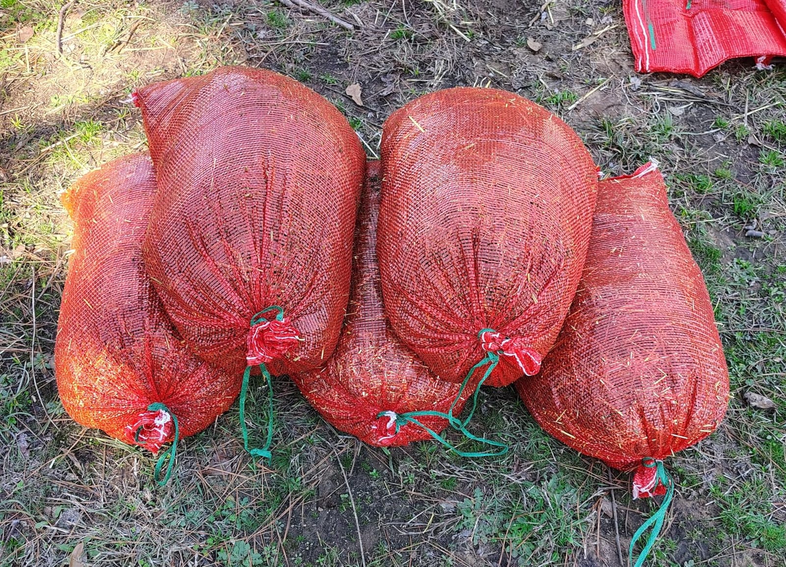 300pcs Onion Bags 21