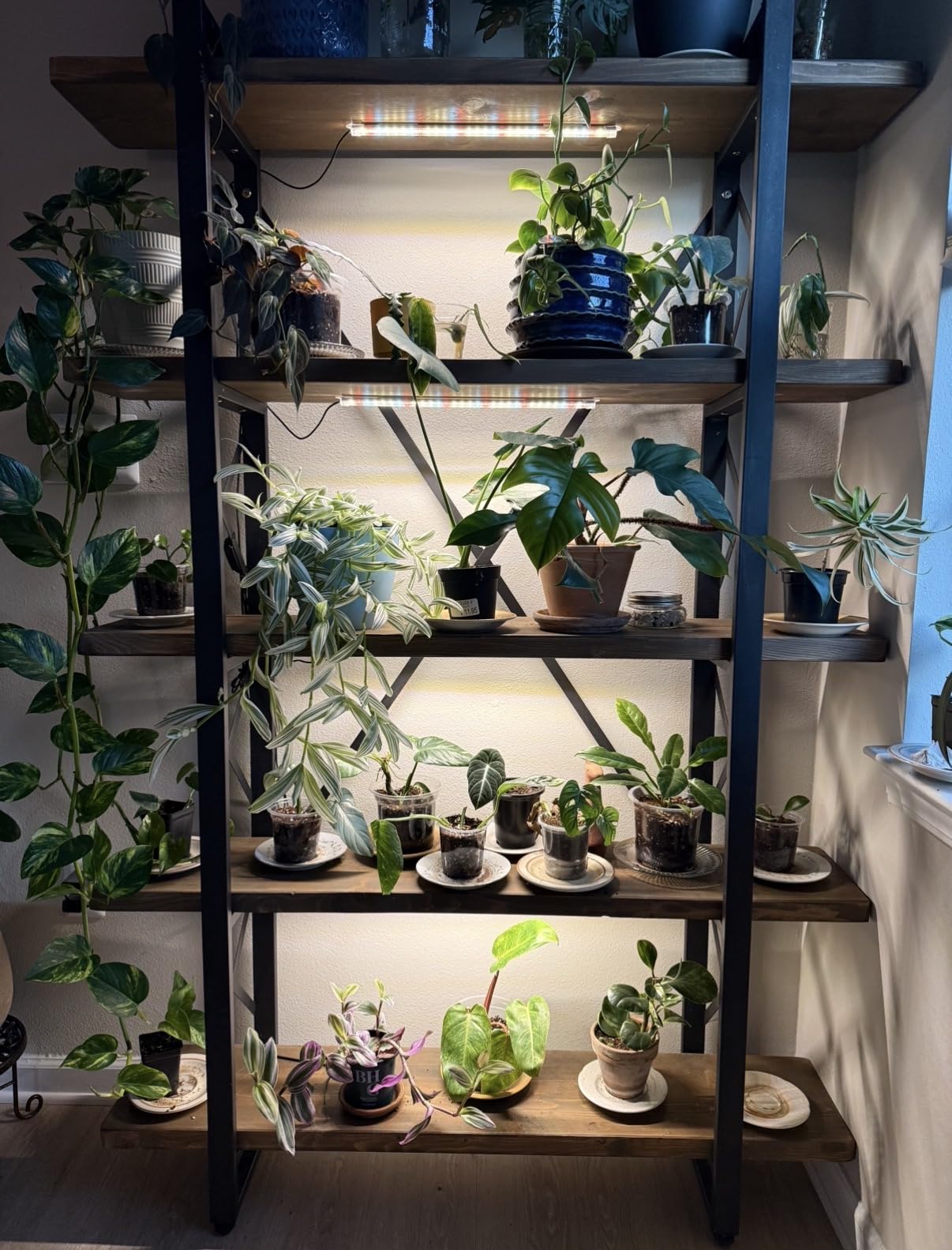 Kullsinss 16in Grow Light Strips for Indoor Plants, 6000K 24W Full Spectrum customer photo 1