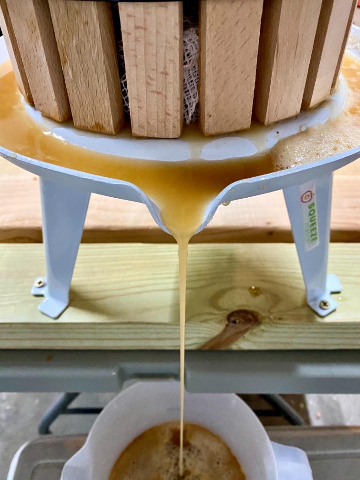 SQUEEZE master Fruit Apple Cider Wine Classic Press-Blue-1.6 Gallon/6L-Solid Wood Basket-Vintage traditional juicer-Pole Handle Bar for Juice,Wine,Cider-1 free filter bag included customer photo 1