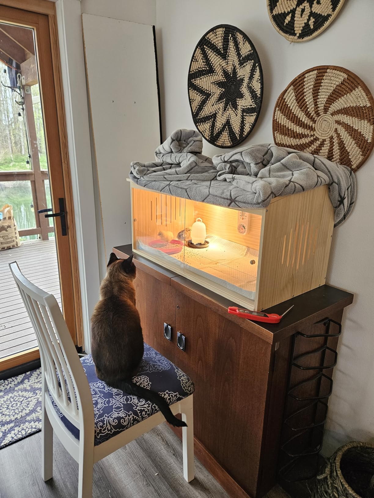 Large Wooden Chicken Brooder Box with Bulb Set and Thermometer - Brooder Box for Chicks Indoor Accommodates Up to 12 Chicks - Ideal for Chickens, Ducks, Quails, Hamsters, and Lizards（32x16x16 Inches） customer photo 1