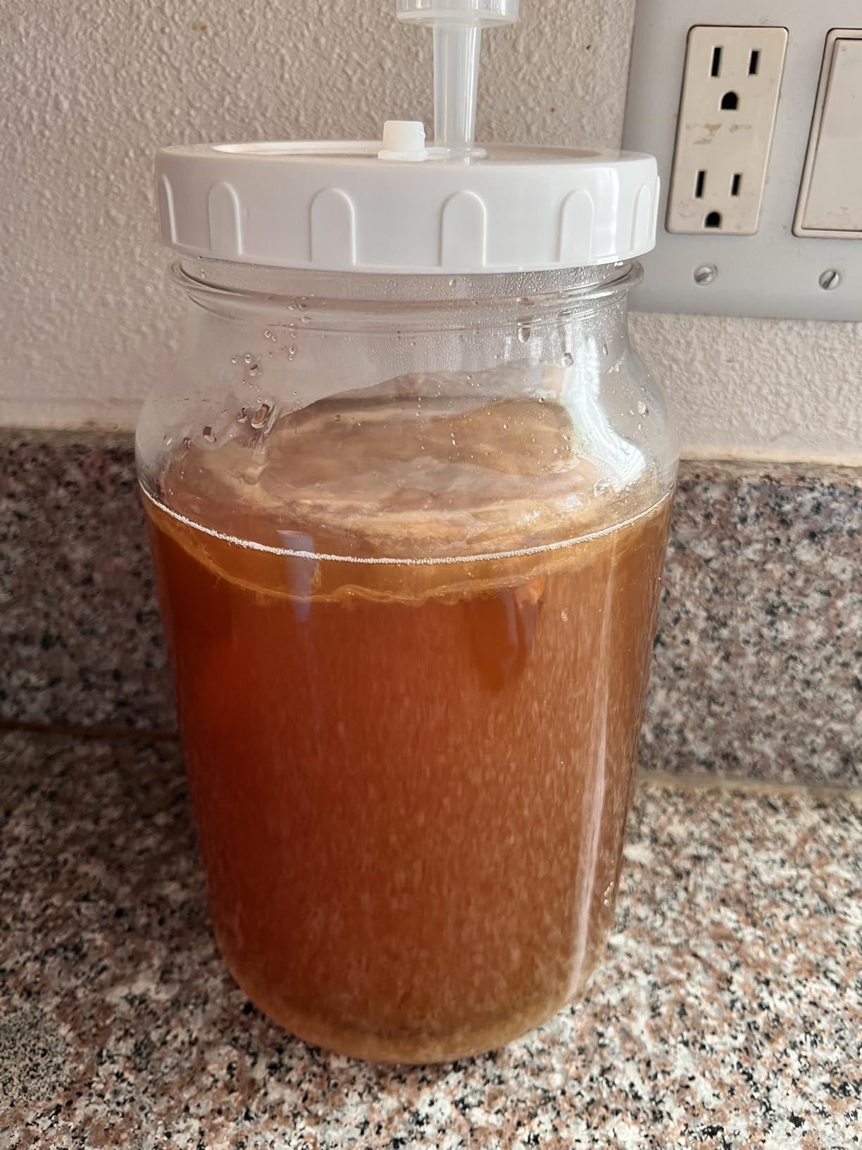 2 Gallon Fermentation Jar with Airlocks, Wide Mouth Glass Jar (7600ML) customer photo 1