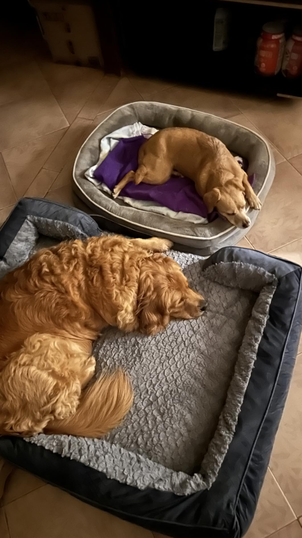 INVENHO Orthopedic Dog Beds Large Sized, XL Washable Dog Sofa with Egg-Crate Foam, Waterproof Lining and Non-Skid Bottom customer photo 1