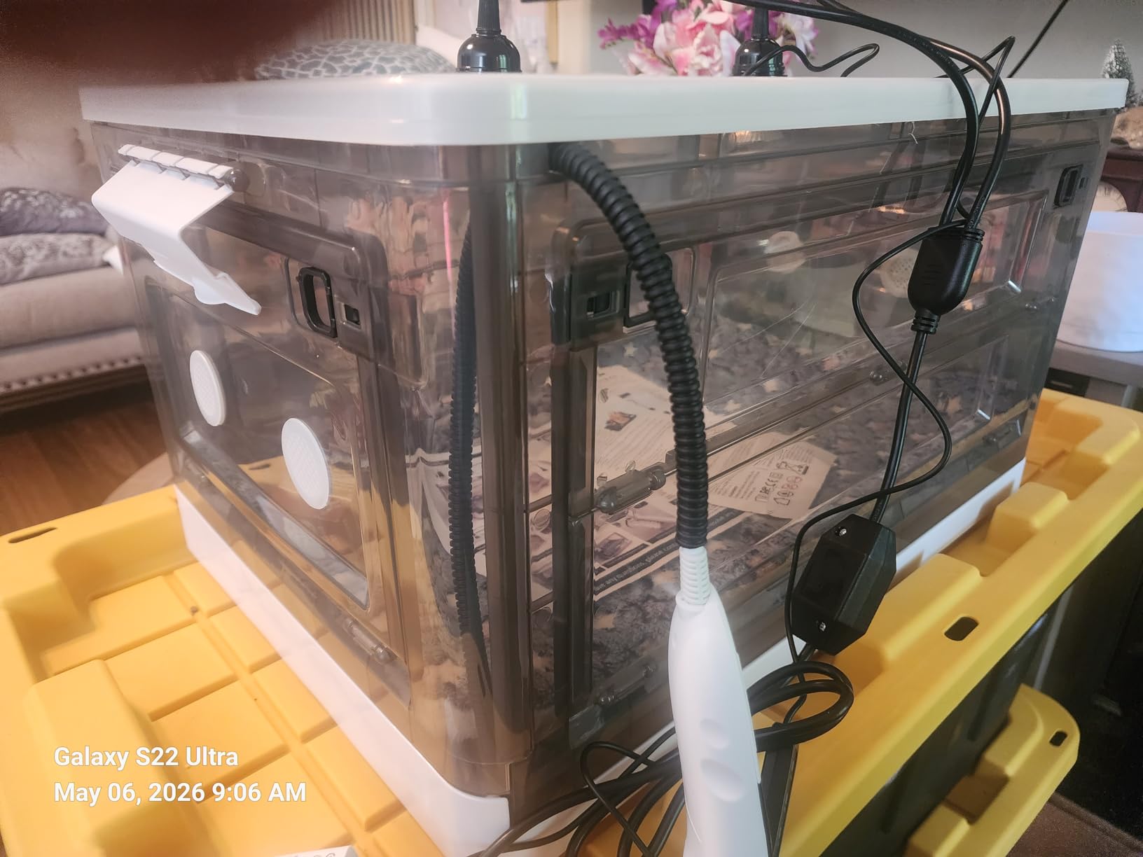 Puppy Incubator with Heating and Fan, Ideal Incubator for Puppies and Kittens, Ensures Good Ventilation and Temperature Control for Newborn Pets (85L) customer photo 1