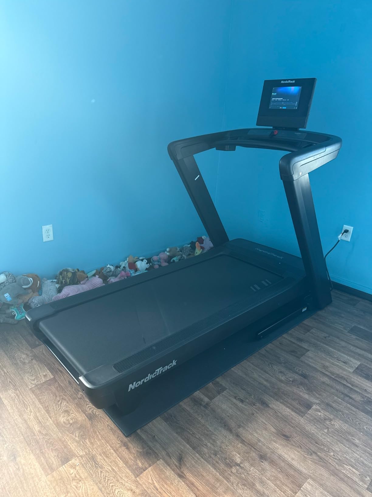 NordicTrack Commercial Series Treadmills: Commercial 1250, 1750, 2450 customer photo 2