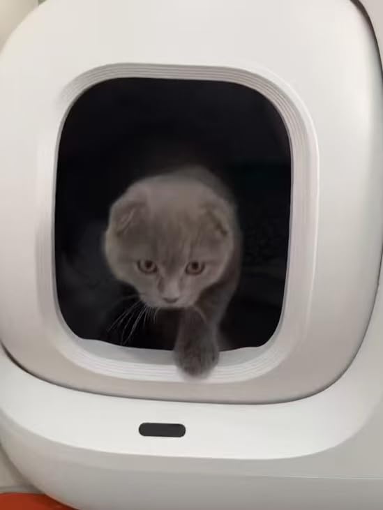 PETKIT PuraMax 2 Odor Free Automatic Cat Litter Box | Anti-Leakage, Low Entrance for Multi-Cat Homes, App Control, Always-Open & Anti-Pinch Design, Safety Sensors, with Trash Bags & N50 customer photo 2