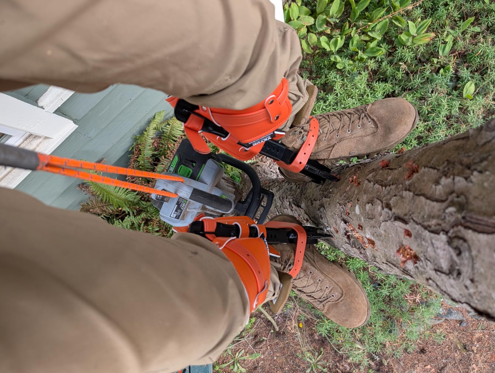VEVOR Tree Climbing Spikes Set, 1 Pair Height-Adjustable Climbing Spurs with Security Harness and Utility Rope, 350lbs Load Capacity Tree Climbing Gear, Arborist Equipment for Climbers, Fruit Picking customer photo 1