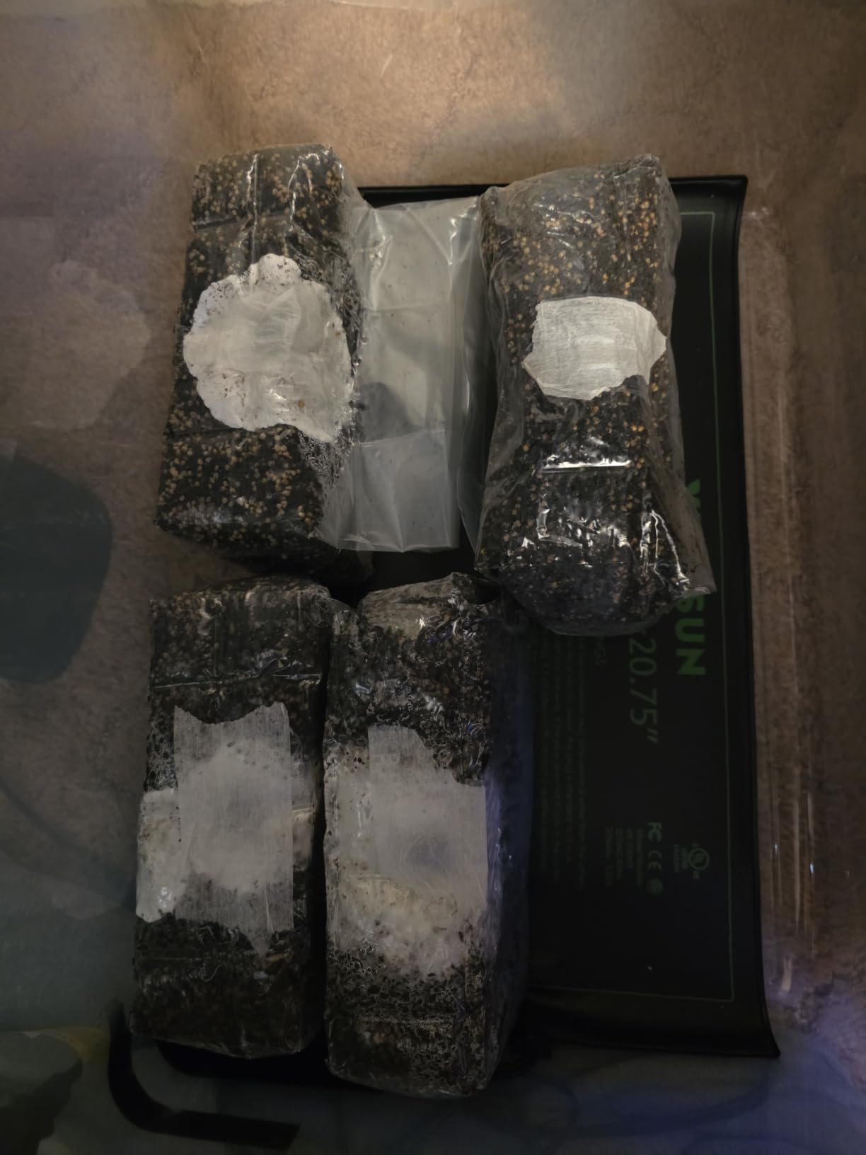 North Spore ShroomTek All-in-One Mushroom Grow Bag, 4lb customer photo 2