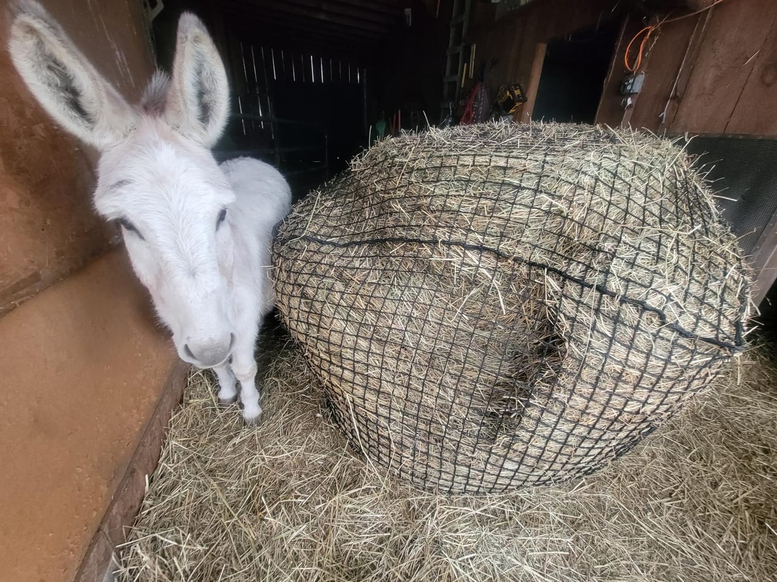 5x5 Ft Knotless Round Bale Hay Net for Horses, Livestock Feeder customer photo 2