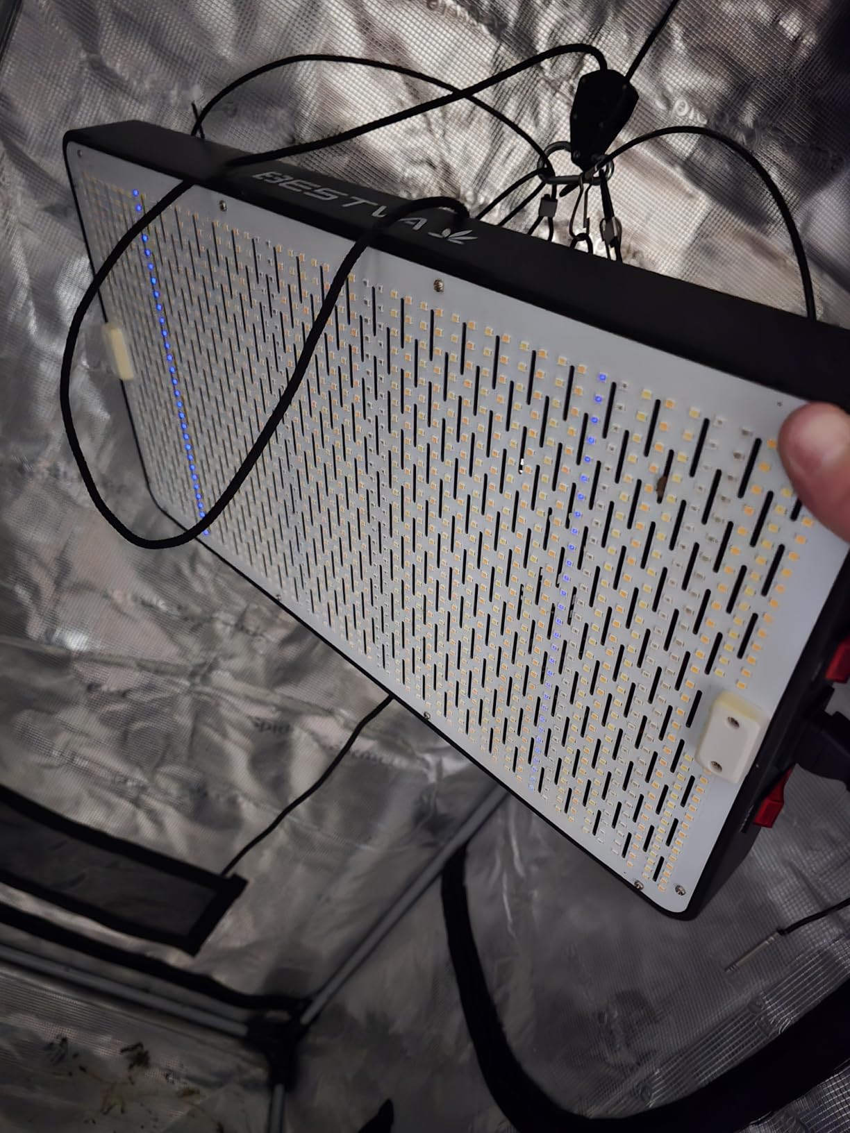 DC3000 Grow Light for Indoor Plants, Dimmable Full Spectrum LED Plant Light customer photo 1