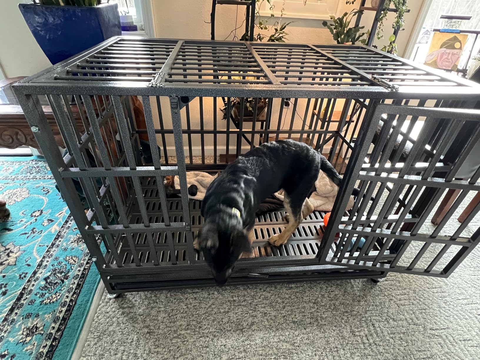 Oranland 38 Inch Heavy Duty Dog Crate,Upgraded Reinforced Baseplate customer photo 2