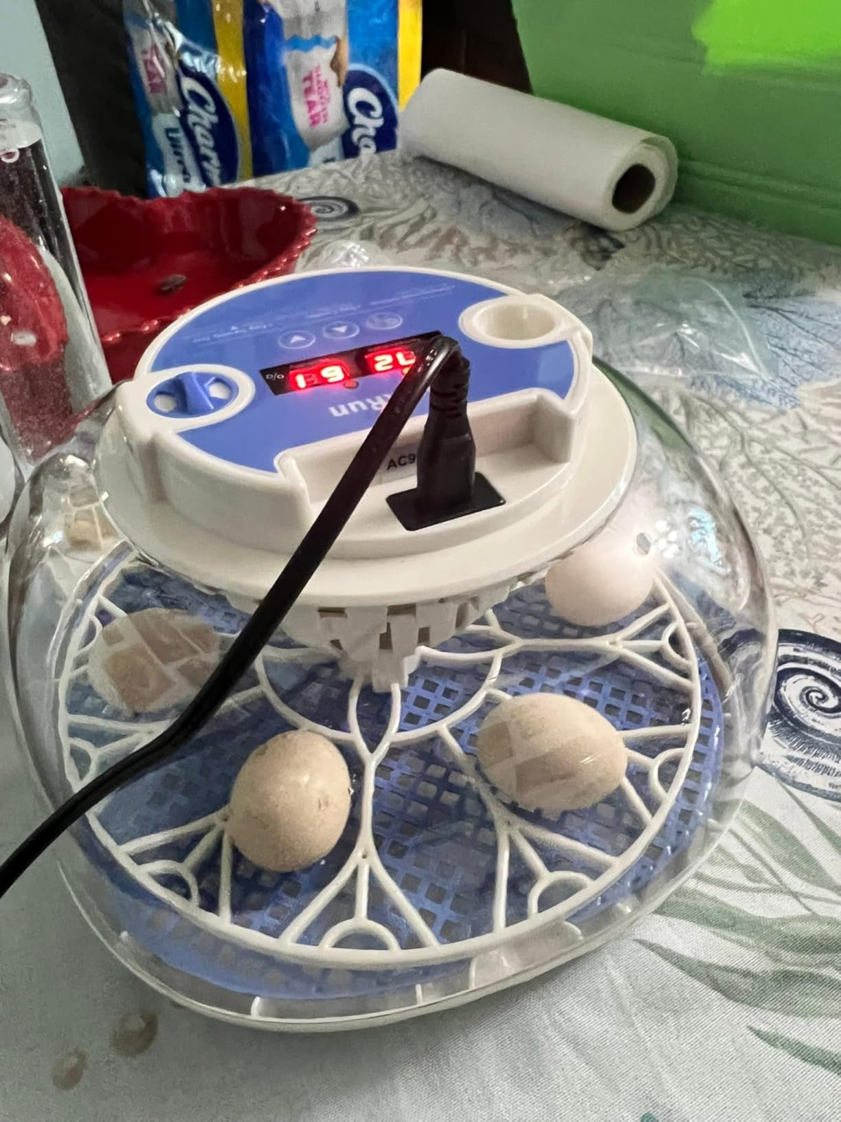 12 Egg Incubators for Hatching Eggs, Auto Turning, Temp & Humidity Control | Auto Egg Turning, Auto Water Refill, 360° Viewing Window, Built-in Egg Candler & Air Vents customer photo 1