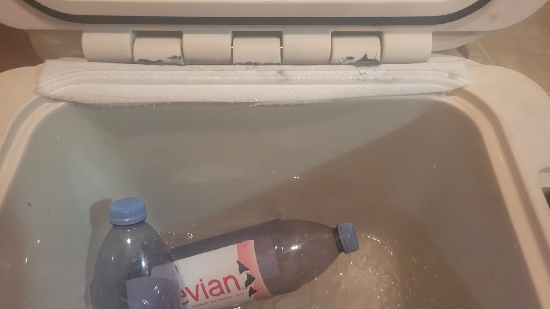 Coleman Pro Hard Cooler, 4 Days Cold, 74-Can, 45-Quart customer photo 2