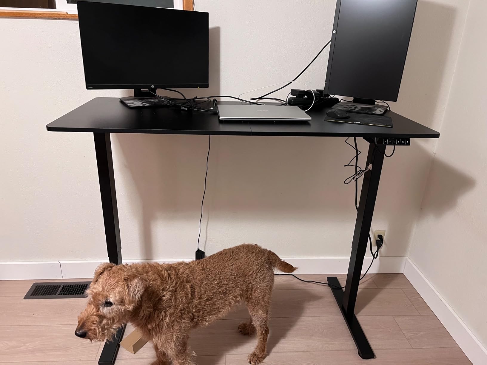 79''x31''Large Standing Desk Electric Adjustable for Home Office customer photo 2