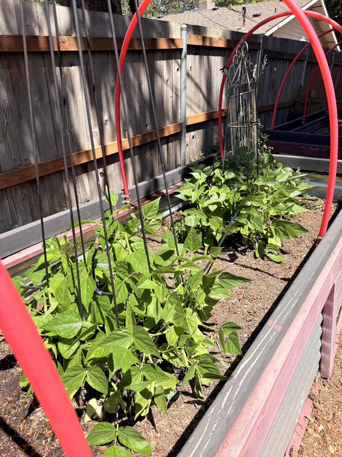 Thiswing 360° Adjustable Drip Irrigation System with 16 Nozzles customer photo 2