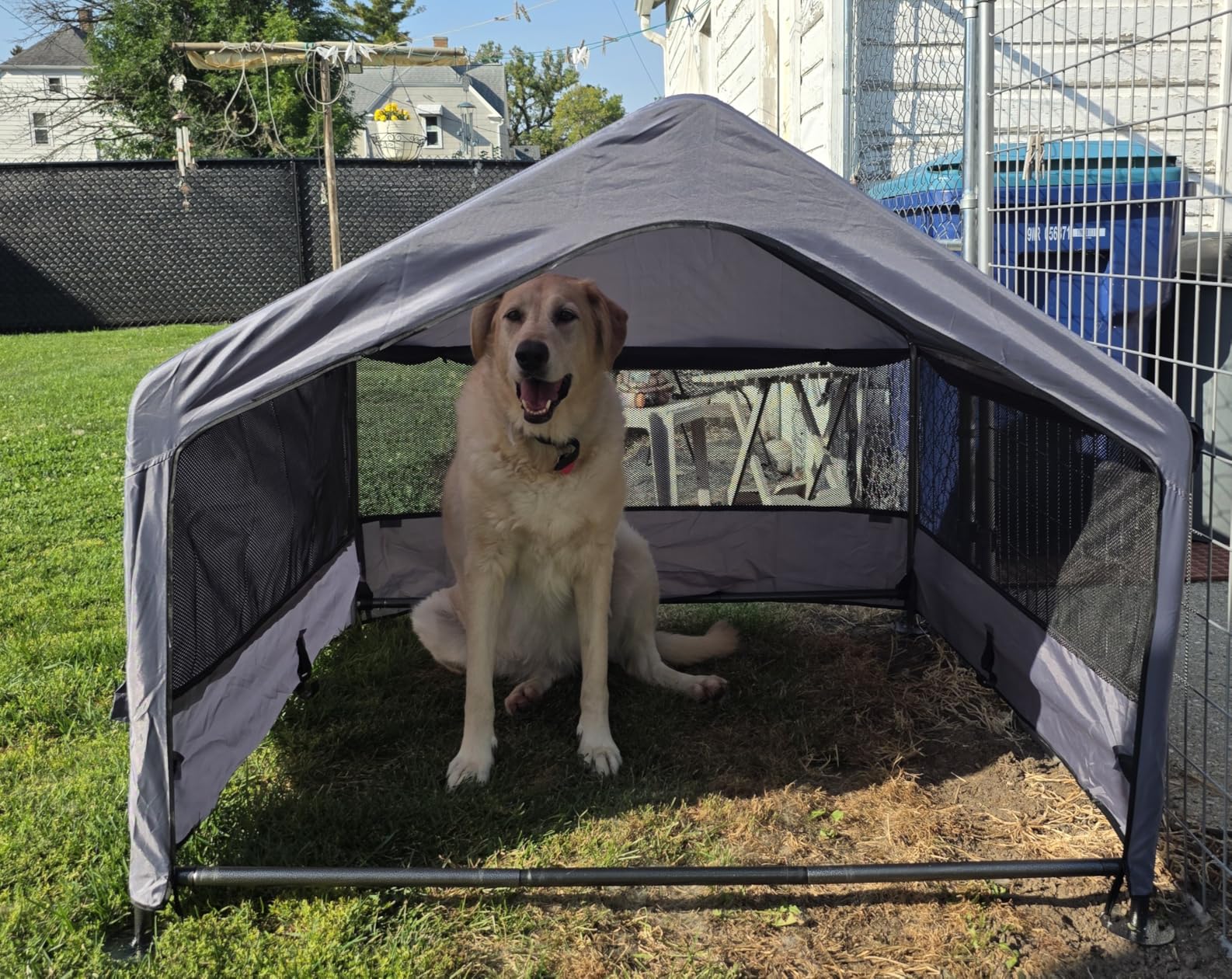 Summertrail Extra Large Dog House Outside, Dog Shade Shelter Tent Outdoor customer photo 2