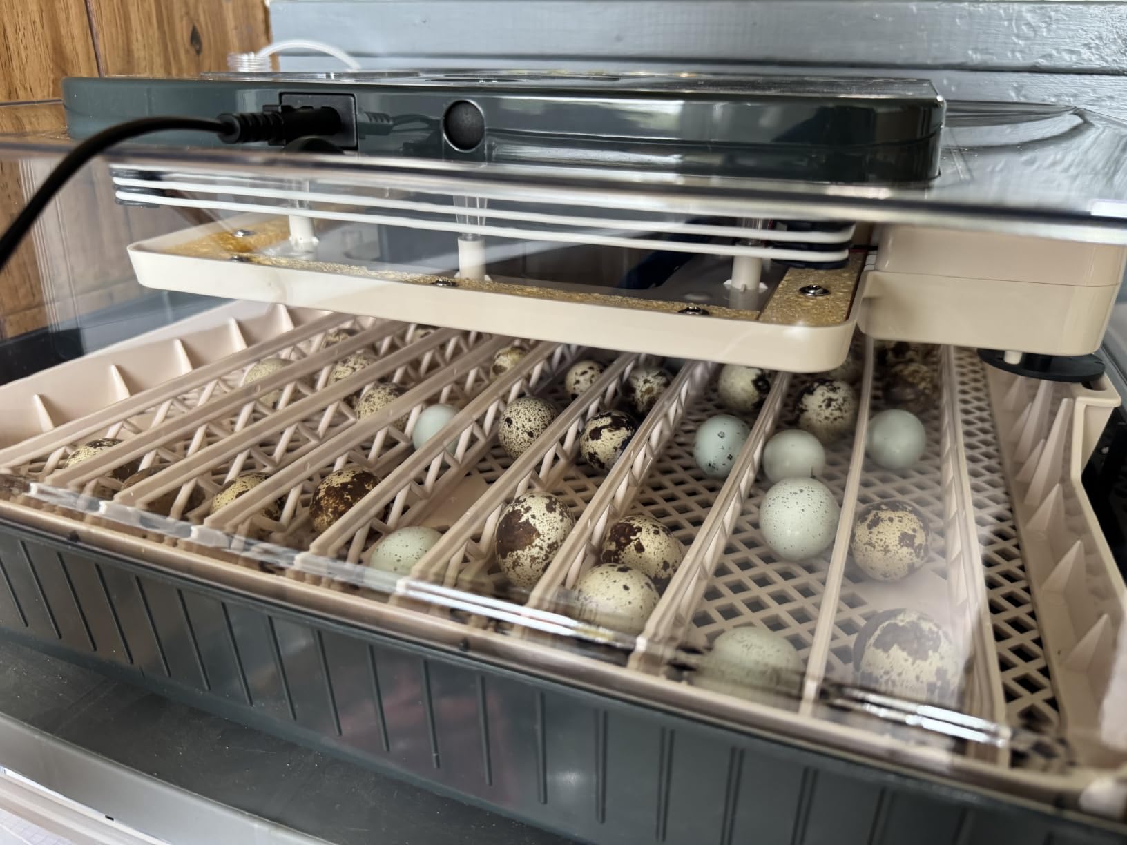 Sailnovo 56 Egg Incubator for Hatching Eggs with Automatic Egg Turning Gray | Auto Humidification, Stable Temperature Control, Built-in Candler, View Window, Alert System for Lab School Farm customer photo 2