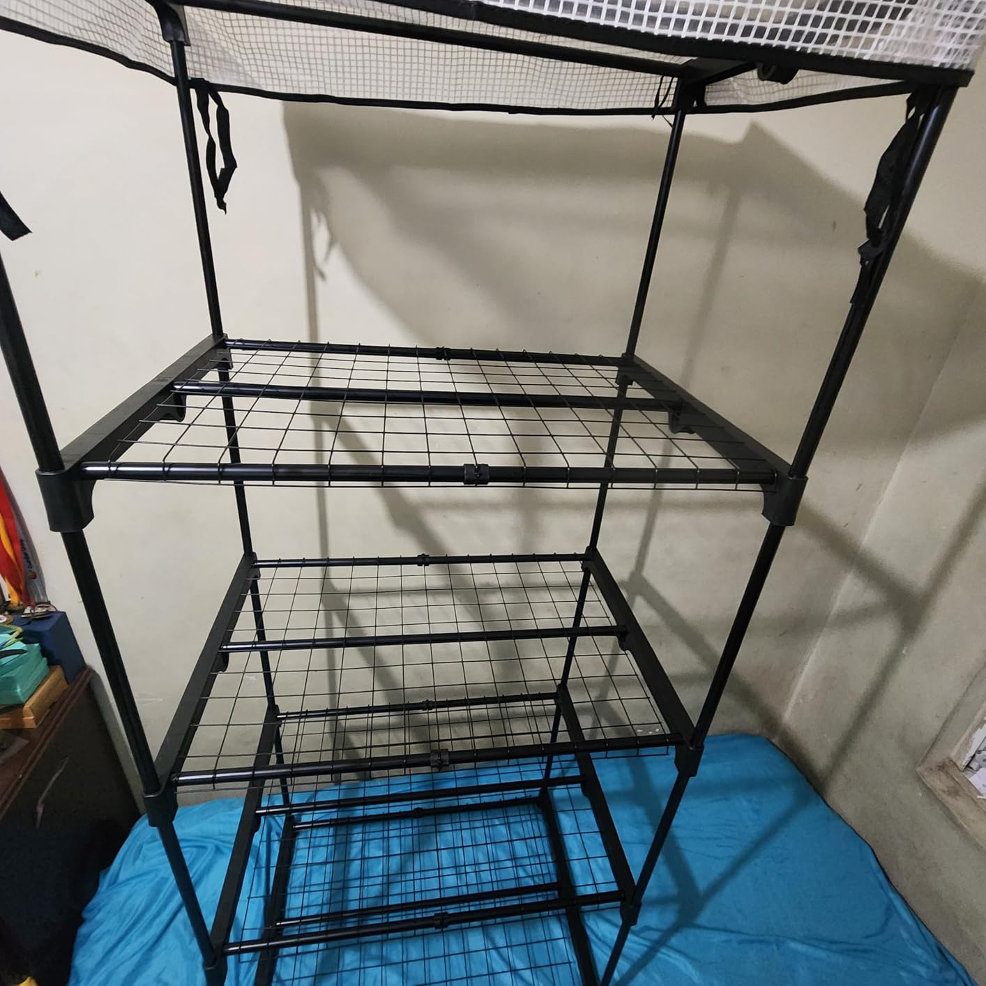 Mushroom Grow Tent customer photo 1