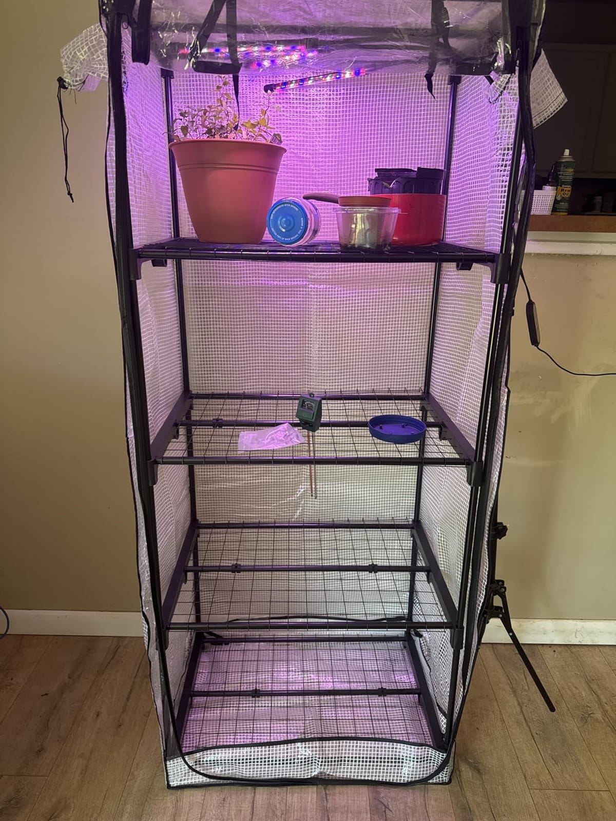 Mushroom Grow Tent customer photo 2