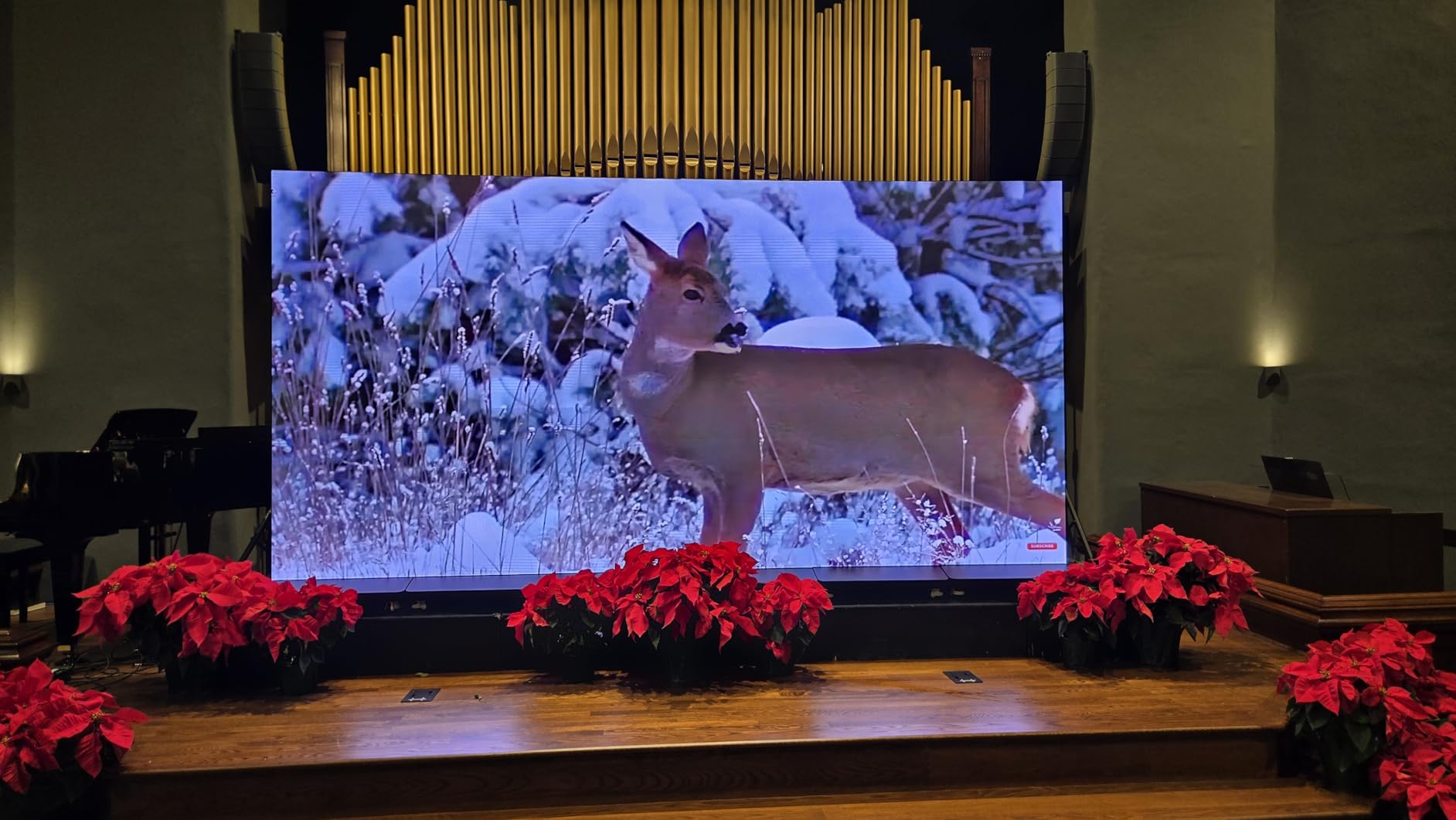 MWE P1.86 LED Poster Screen with Flight Case, 80