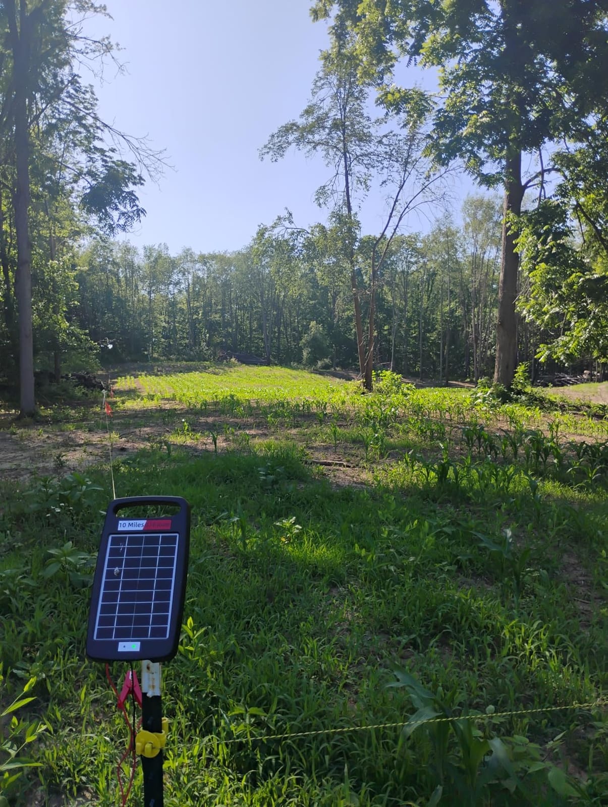 20 Miles Solar Powered Electric Fence Charger, 0.32J for Gardens, Livestock customer photo 2