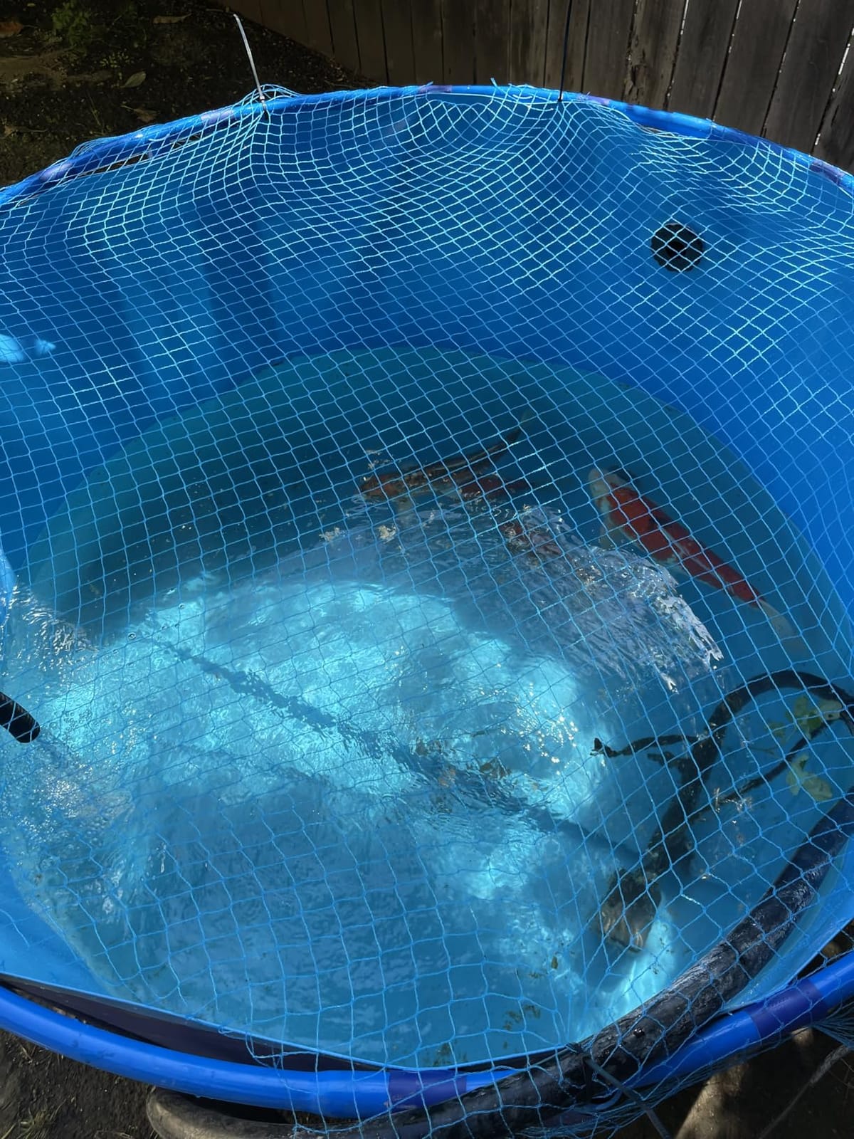 Pool Above Ground, Fish Pond Liner, Aquaculture Tank Fish Pond customer photo 1