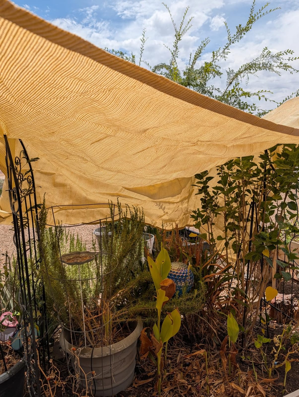 Amgo Heavy Duty 12' x 12' x 12' Beige Sun Shade Triangle Pro Ring Shade Sail, 260 GSM Commercial Grade UPF50 customer photo 2