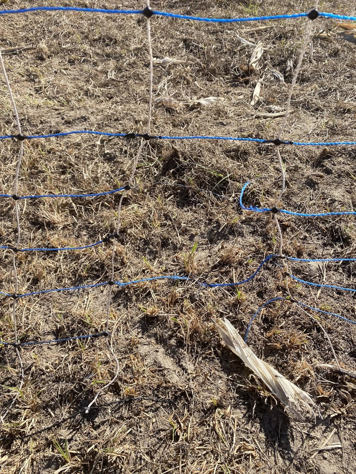 PPOLB Highly Visible Blue Electric Fence Netting, 35.4