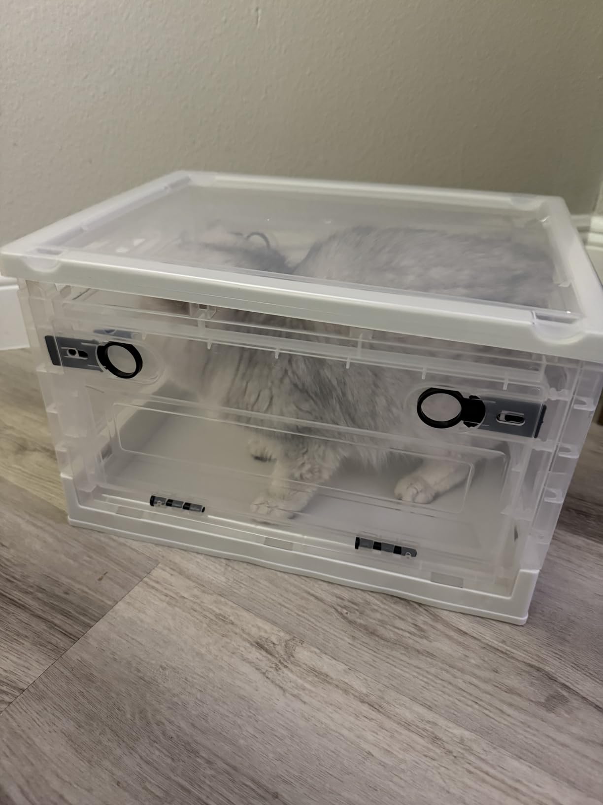 Oxygen for Dogs Chamber with Wheels, 89L Folding Puppy Incubator, Large Breathable Visible Dog Oxygen Chamber with Pet Bed Mat Care Accessories. customer photo 2