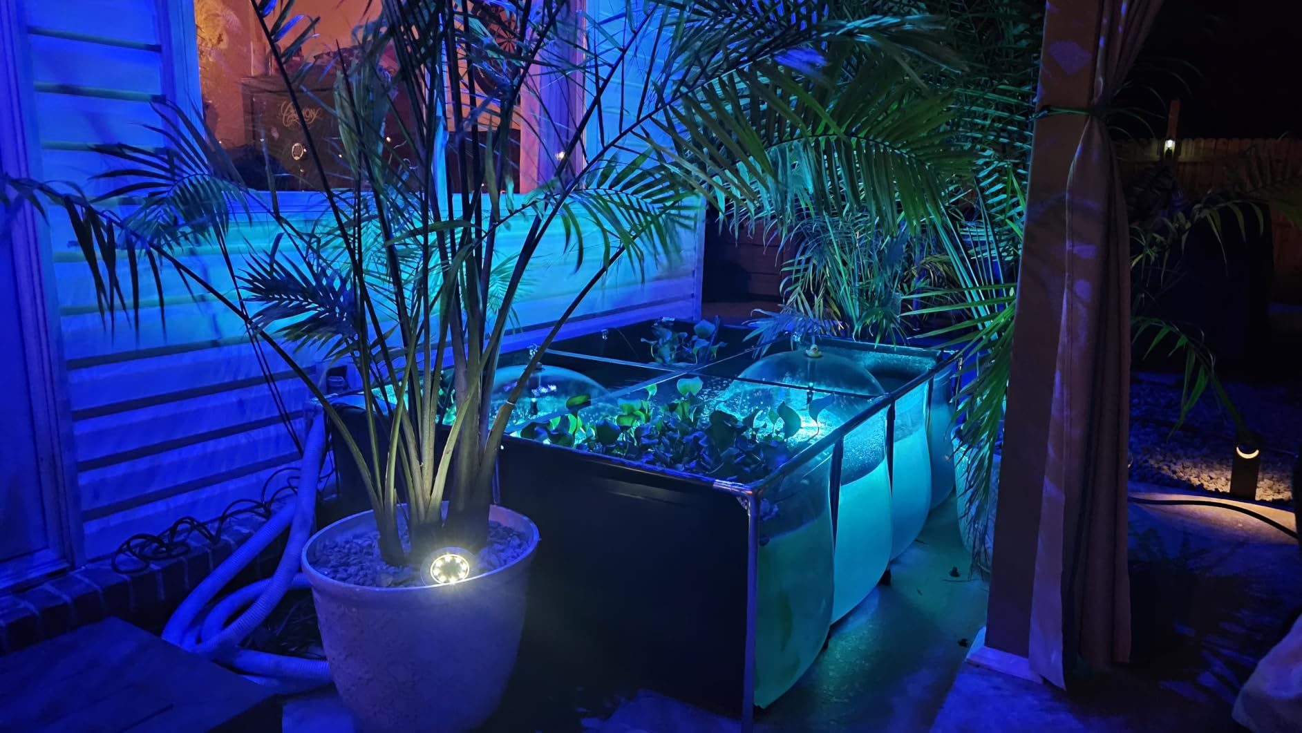 Aquarium Pool Pond,Collapsible Fish Ponds for Outside with Transparent Clear Viewing Panel,270 Gallon Fish Tank,PVC Canvas Above Ground Pond,Indoor/Outdoor Pond for Koi,Goldfish,with Drain Valve customer photo 2