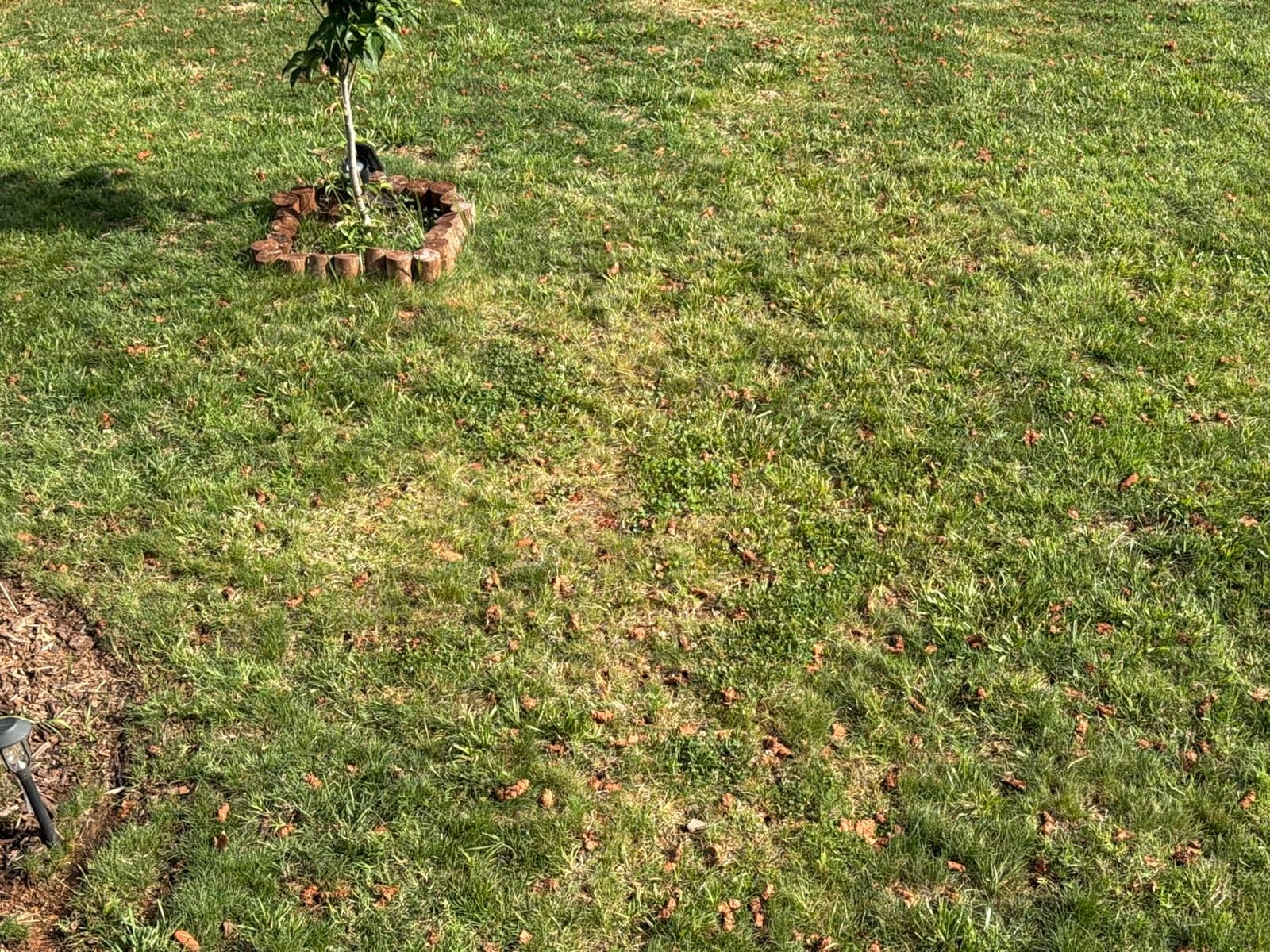 Manual Lawn Core Aerator for Compacted Soil with Non-Clogging Hollow Tines customer photo 1